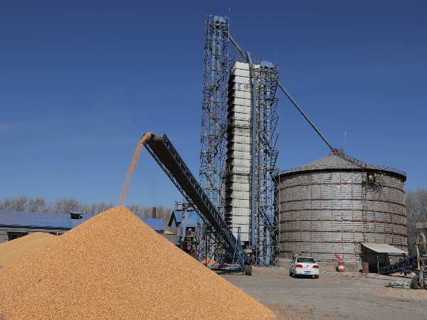 燒煤改燒秸稈大包直燃熱風(fēng)爐，烘干成本省一半