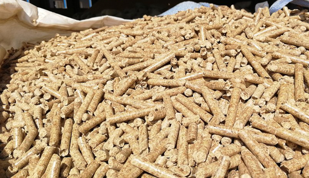 生態(tài)環(huán)境部回應(yīng)！生物質(zhì)成型燃料不是高污染燃料