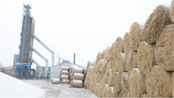煤炭價格高，烘糧利潤低，吉林大安市500噸糧食烘干塔改用秸稈大包直燃鍋爐，每天省3萬